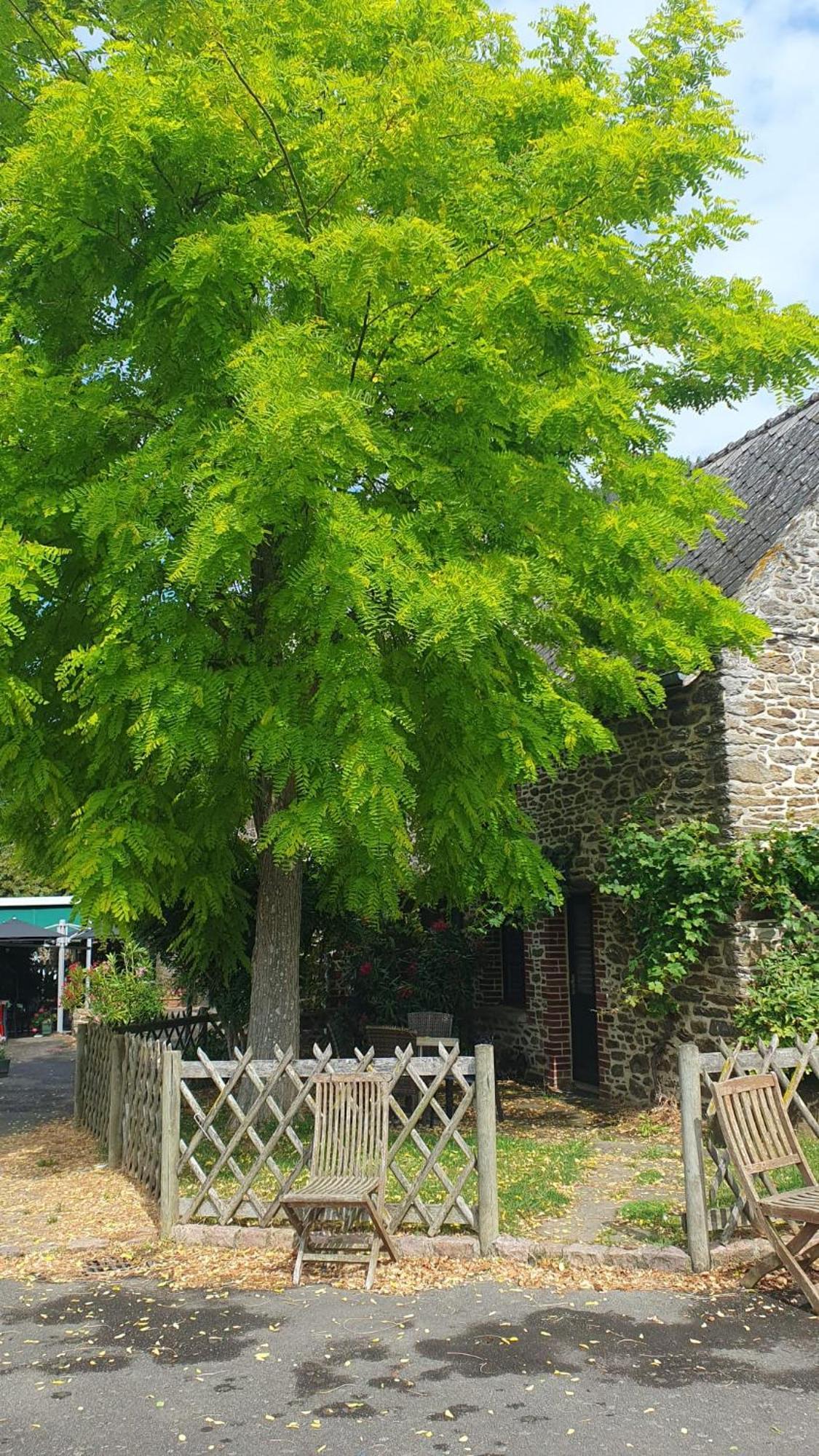 L'auberge De La Porte Herberg Saint-Jouan-des-Guérets